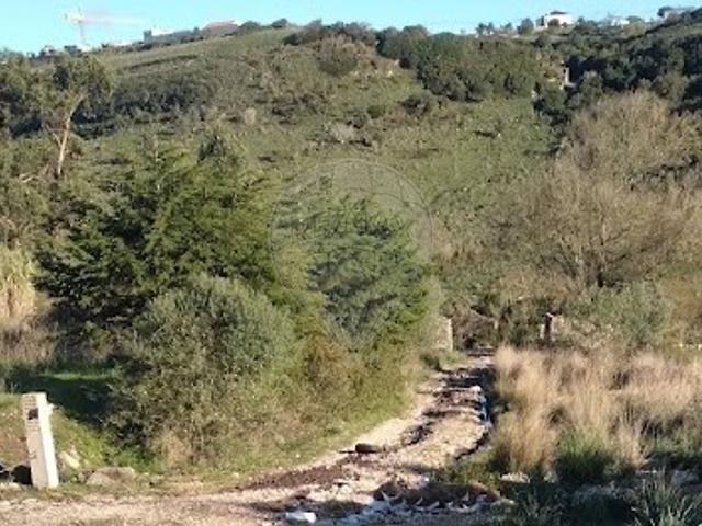 Terreno venda em Armés, Sintra