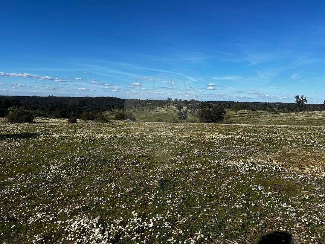 Terreno venda em Cabrela, Montemor-o-Novo