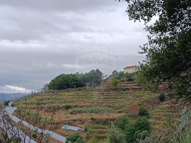 Terreno venda em Cabril, Castro Daire