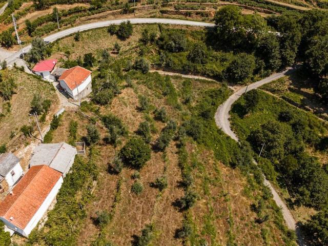 Terreno venda em Cabril, Castro Daire
