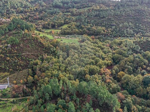 Terreno venda em Cabril, Montalegre