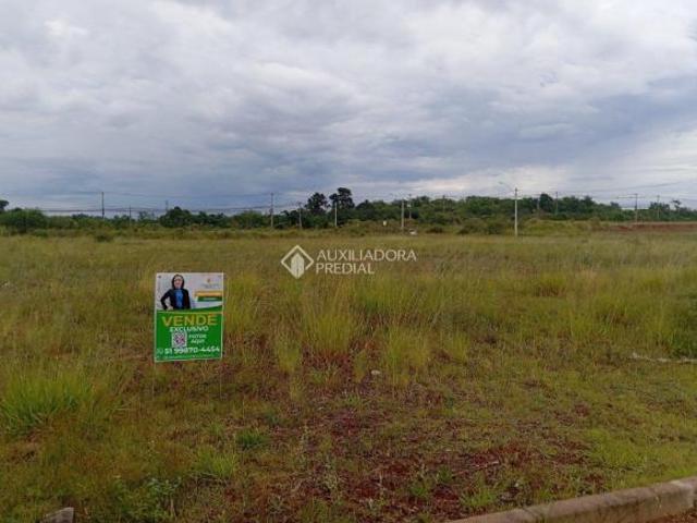 Terreno venda em Cachoeirinha