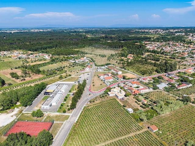 Terreno venda em Cadima, Cantanhede