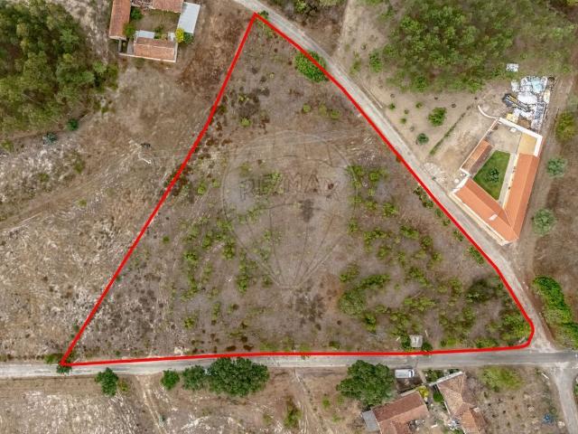 Terreno venda em Cadima, Cantanhede