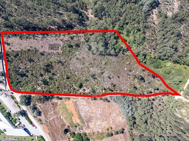 Terreno venda em Cadima, Cantanhede