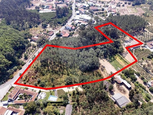 Terreno venda em Cadima, Cantanhede