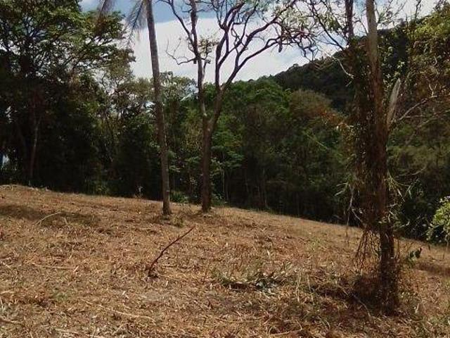 Sítio e chácara venda em Pedra Branca, Caeté