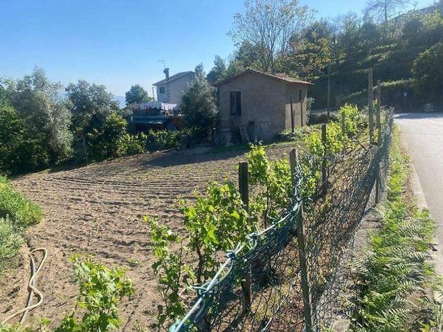 Terreno venda em Soutelo e Ribeira, Amares