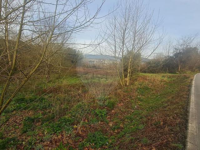 Terreno venda em Barreiro, Amares