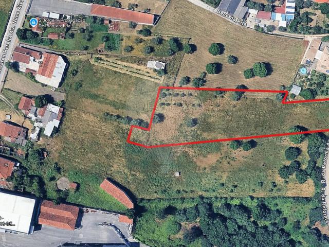 Terreno venda em Calvaria de Cima, Porto de Mós