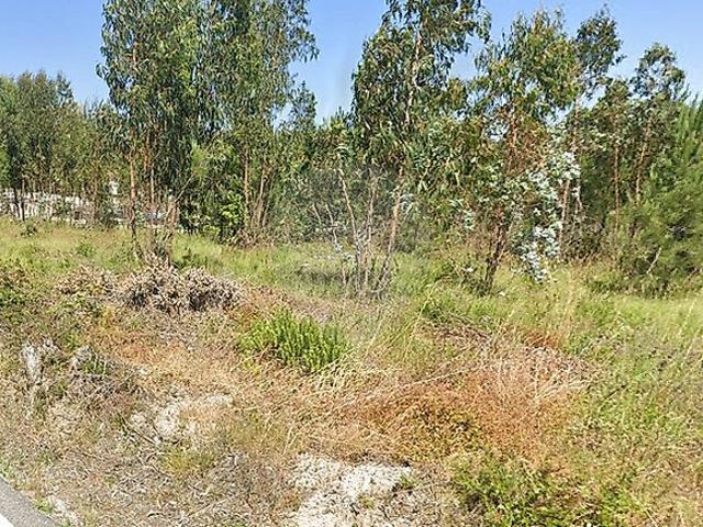 Terreno venda em Calvaria de Cima, Porto de Mós