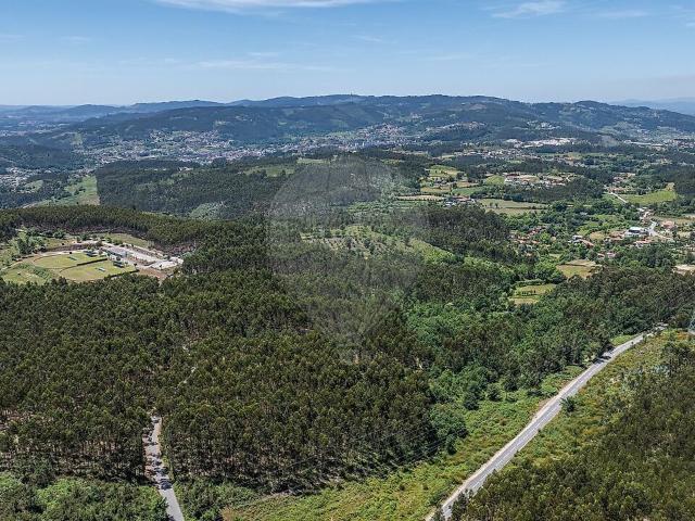 Terreno venda em Calvos e Frades, Póvoa de Lanhoso