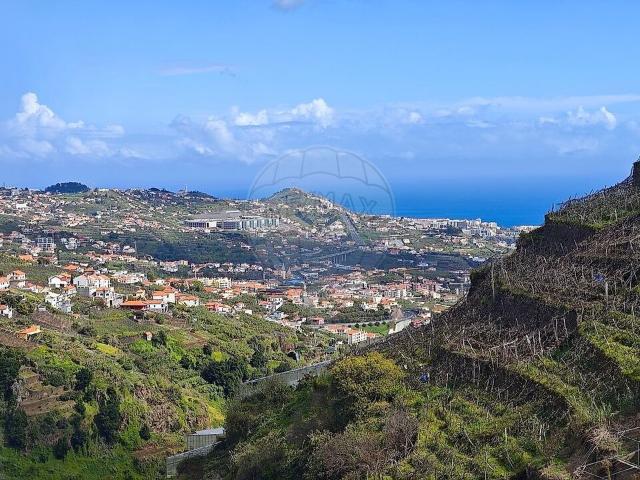 Terreno venda em Heras, Câmara de Lobos