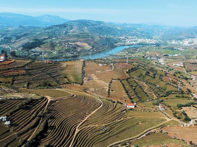 Terreno venda em Cambres, Lamego