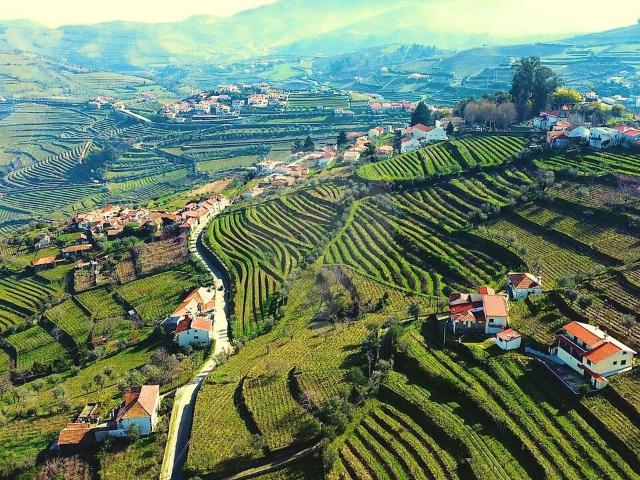 Terreno venda em Samodães, Lamego
