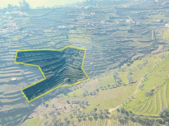 Terreno venda em Samodães, Lamego
