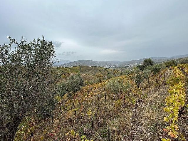 Terreno venda em Cambres, Lamego