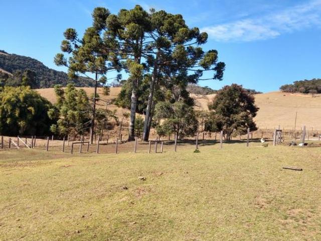 Terreno venda em Região Geográfica Imediata de Pouso Alegre, Cambuí
