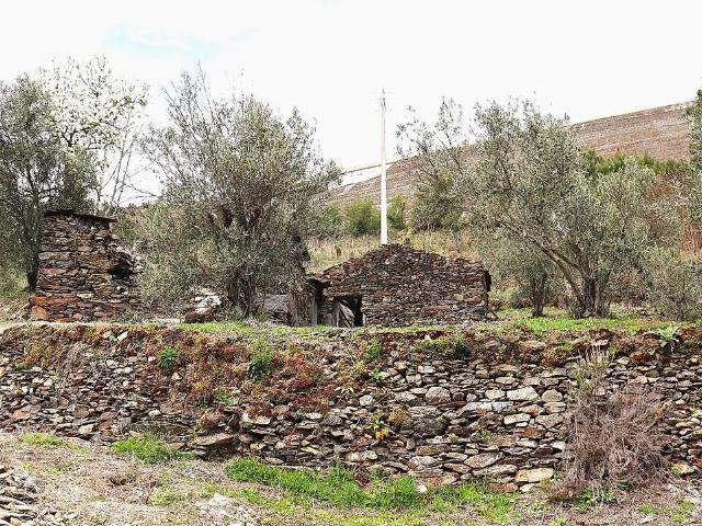 Terreno venda em Vendas, Vila Real