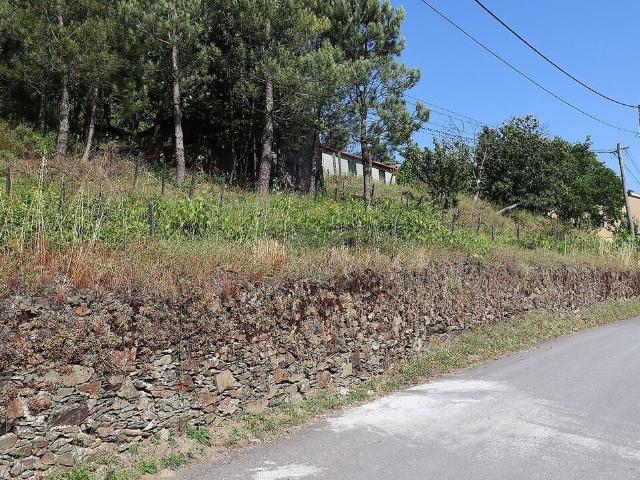 Terreno venda em Campeã, Vila Real