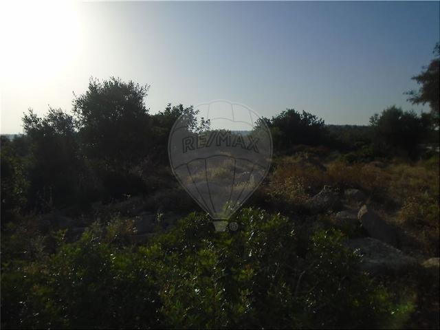 Terreno venda em Loulé, Faro