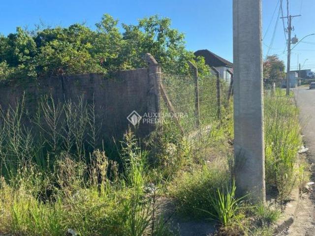Terreno venda em Região Geográfica Imediata de Novo Hamburgo - São Leopoldo, Região Metropolitana de Porto Alegre