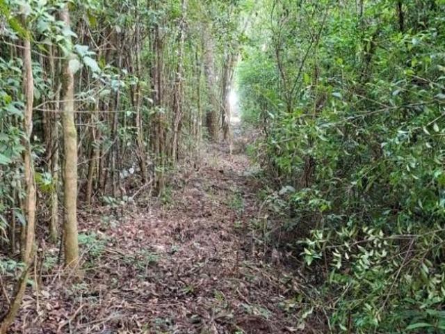 Terreno venda em Região Geográfica Imediata de Curitiba, Região Metropolitana de Curitiba