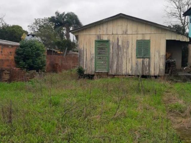 Terreno venda em Campo Bom