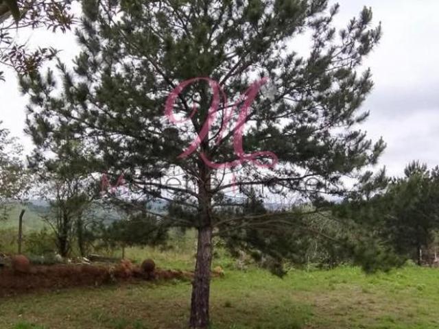 Terreno venda em Região Imediata de Jundiaí, Campo Limpo Paulista