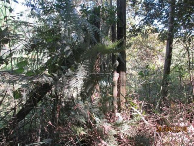 Terreno venda em Região Imediata de Jundiaí, Campo Limpo Paulista
