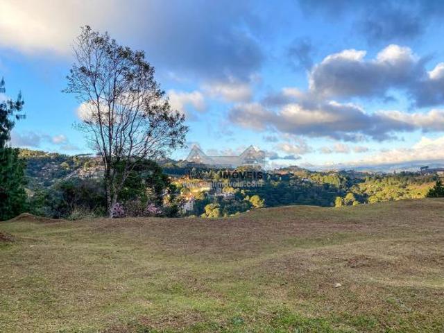 Terreno venda em Região Imediata de Taubaté-Pindamonhangaba, Região Metropolitana do Vale do Paraíba e Litoral Norte