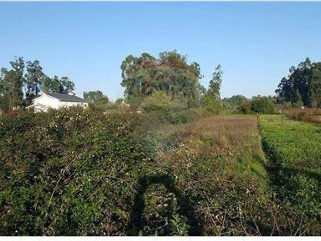 Terreno venda em Sabugosa, Tondela