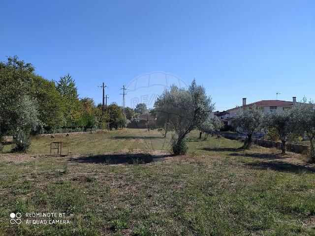 Terreno venda em Canas de Santa Maria, Tondela