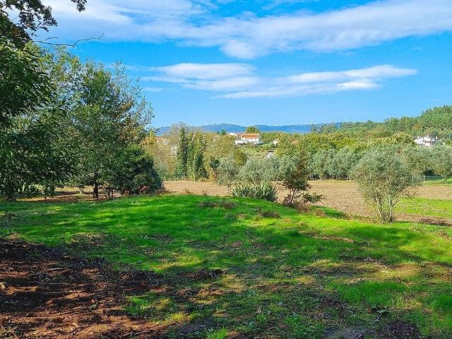 Terreno venda em Canas de Santa Maria, Tondela
