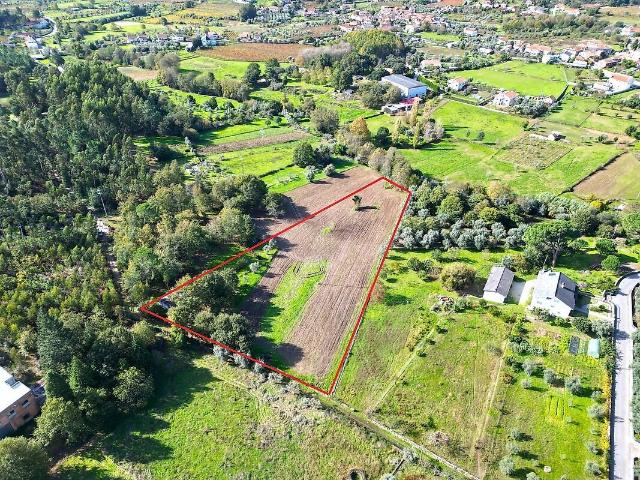Terreno venda em Canas de Santa Maria, Tondela
