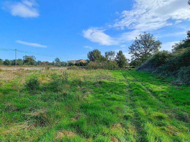 Terreno venda em Canas de Santa Maria, Tondela