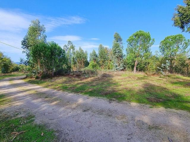 Terreno venda em Canas de Santa Maria, Tondela