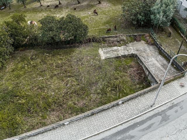 Terreno venda em Canas de Senhorim, Nelas