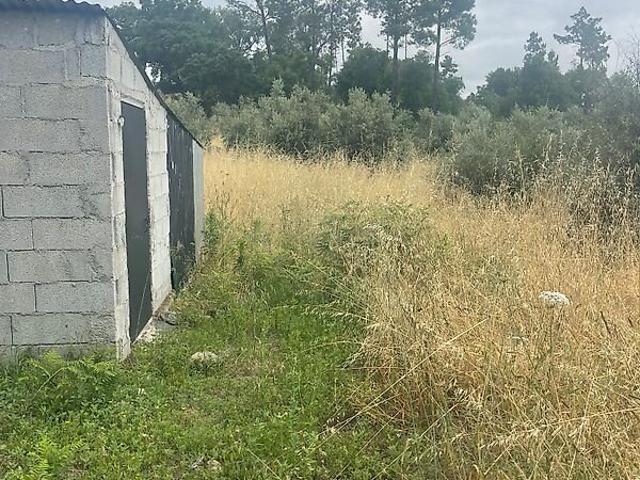 Terreno venda em Canas de Senhorim, Nelas
