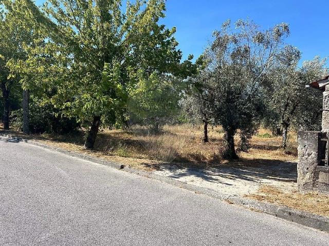 Terreno venda em Canas de Senhorim, Nelas