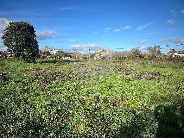Terreno venda em Canas de Senhorim, Nelas