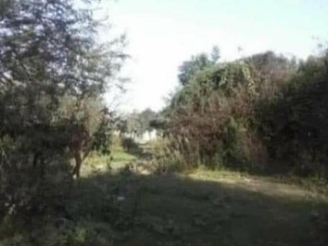 Terreno venda em Região Geográfica Imediata de Caxias do Sul, Canela