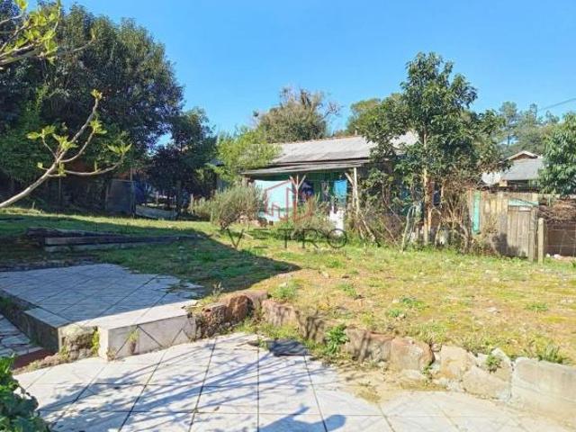 Terreno venda em Canela