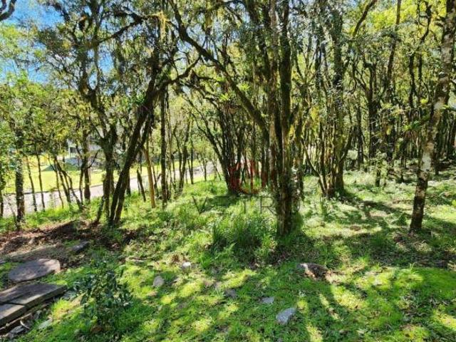 Terreno venda em Canela