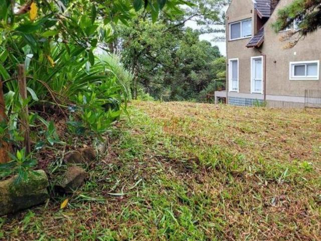 Terreno venda em Canela