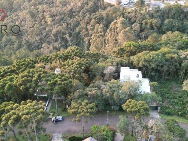 Terreno venda em Canela