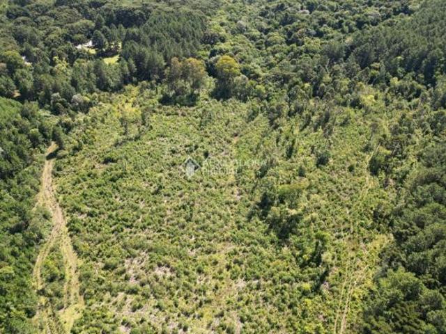 Terreno venda em Região Geográfica Imediata de Caxias do Sul, Canela