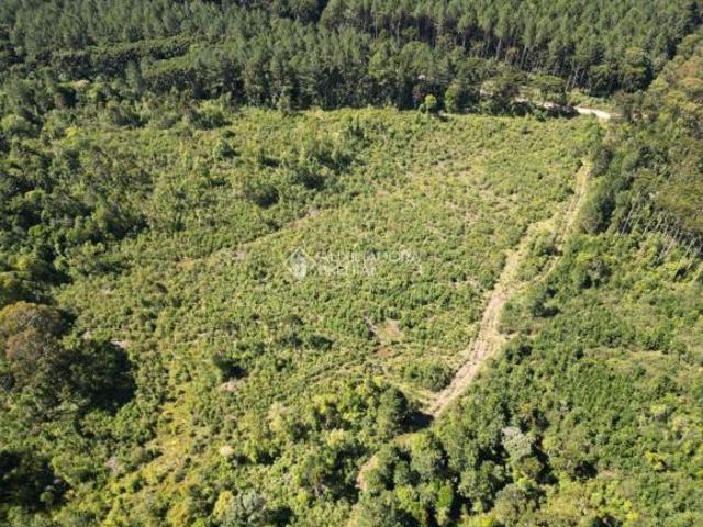 Terreno venda em Região Geográfica Imediata de Caxias do Sul, Canela
