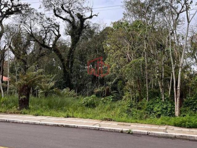 Terreno venda em Canela