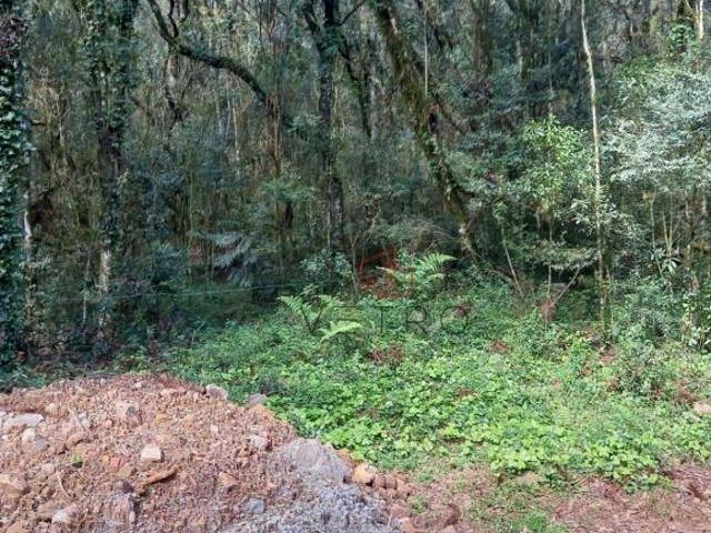 Terreno venda em Canela, Região Geográfica Intermediária de Caxias do Sul